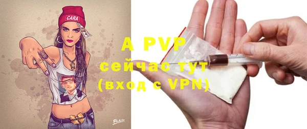 ПСИЛОЦИБИНОВЫЕ ГРИБЫ Пересвет