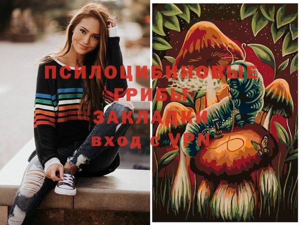 ГАЛЛЮЦИНОГЕННЫЕ ГРИБЫ Покровск