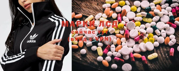 ПСИЛОЦИБИНОВЫЕ ГРИБЫ Пересвет