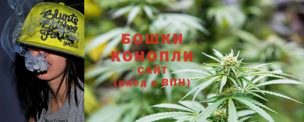 ПСИЛОЦИБИНОВЫЕ ГРИБЫ Пересвет